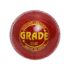 ToyBharat Jumbo Plane Friction Power Toy in Multicolour with Realistic Design for Kids Aged 1-6 Years. Safe, Non-Toxic, Battery-Free, Ideal for Indoor and Outdoor Play.