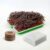 Anirdesh Hydroponic Seed Sprouter Tray with Microgreens Kit Coco-Coin Discs & Germination Paper, Green, 22.2 L 14.4 W 2.5 H CM (2, 2PCs Coco Disc, 4PCs Germination Paper)