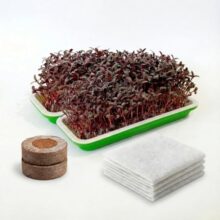 Anirdesh Hydroponic Seed Sprouter Tray with Microgreens Kit Coco-Coin Discs & Germination Paper, Green, 22.2 L 14.4 W 2.5 H CM (2, 2PCs Coco Disc, 4PCs Germination Paper)