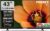 Foxsky 109 cm (43 inch) Frameless Series FHD QLED Google TV (43 FS 1000 PRO)