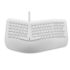 Home Centre | Yuva | Mesh Medium Back | Nylon | Study and Office Chairs | Black | 1 Year Warranty