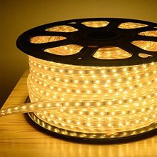 Tucasa- Led Strip Rope Light,Water Proof,Decorative Led Light With Adapter. (Warmwhite(Yellow), 20-Meter)