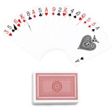 DealBindaas Premium Paper Playing Cards, Bridge Size Cards, Ideal for Card Games
