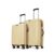 Aristocrat Airpro Max Set of 2 (Cabin+Medium) Trolley Bags, Mojave Desert