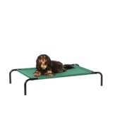 AmazonBasics Small Elevated Cooling Pet Dog Cot Bed – 36 x 22 x 7.5 Inches, Green