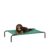 AmazonBasics Small Elevated Cooling Pet Dog Cot Bed – 36 x 22 x 7.5 Inches, Green
